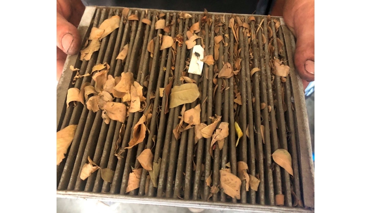 Thumbnail for State of cabin air filter leaves mechanics speechless